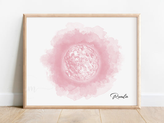 The best baby keepsake watercolor embryo art hanging on nursery wall