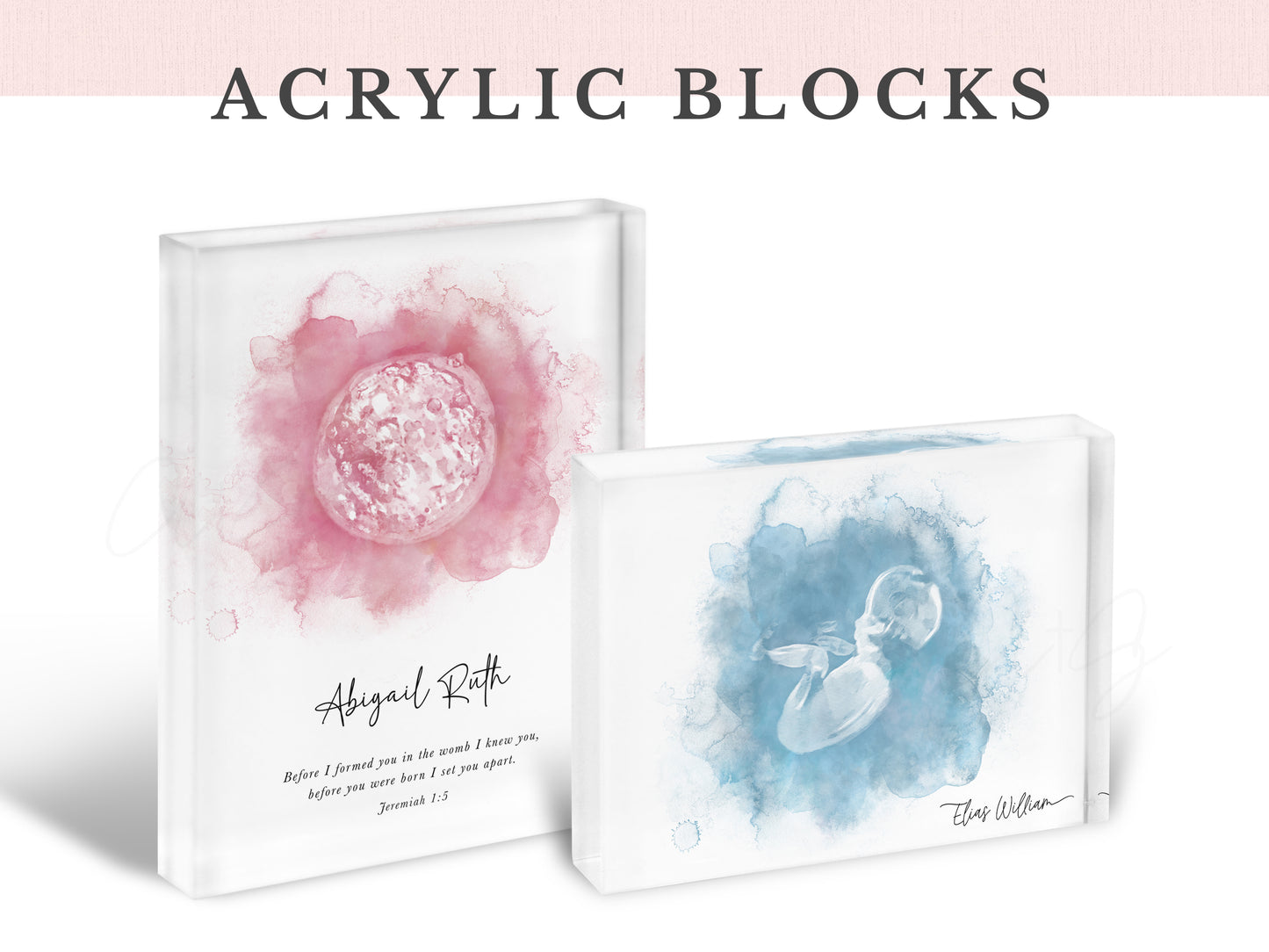 Woodland Animals Watercolor Embryo Art