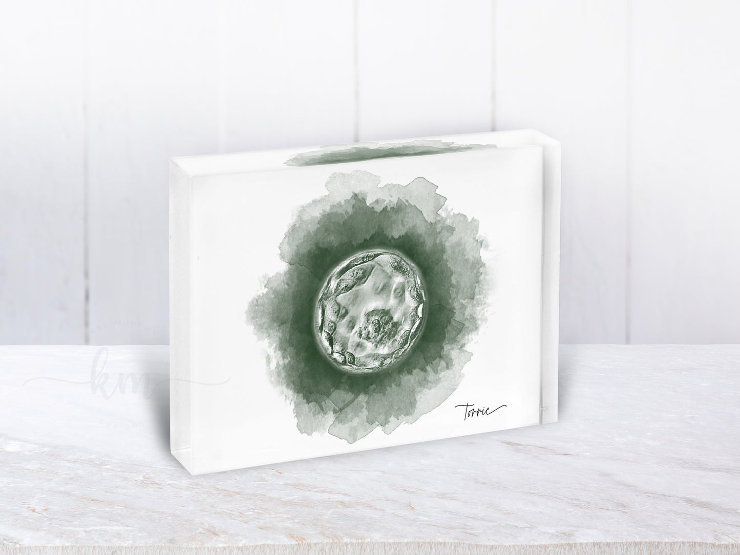 IVF embryo keepsake print for new moms or baby remembrance