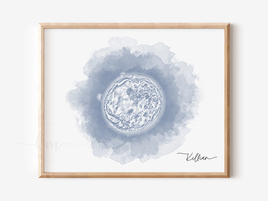 Watercolor circle embryo art for IVF or miscarriage gift