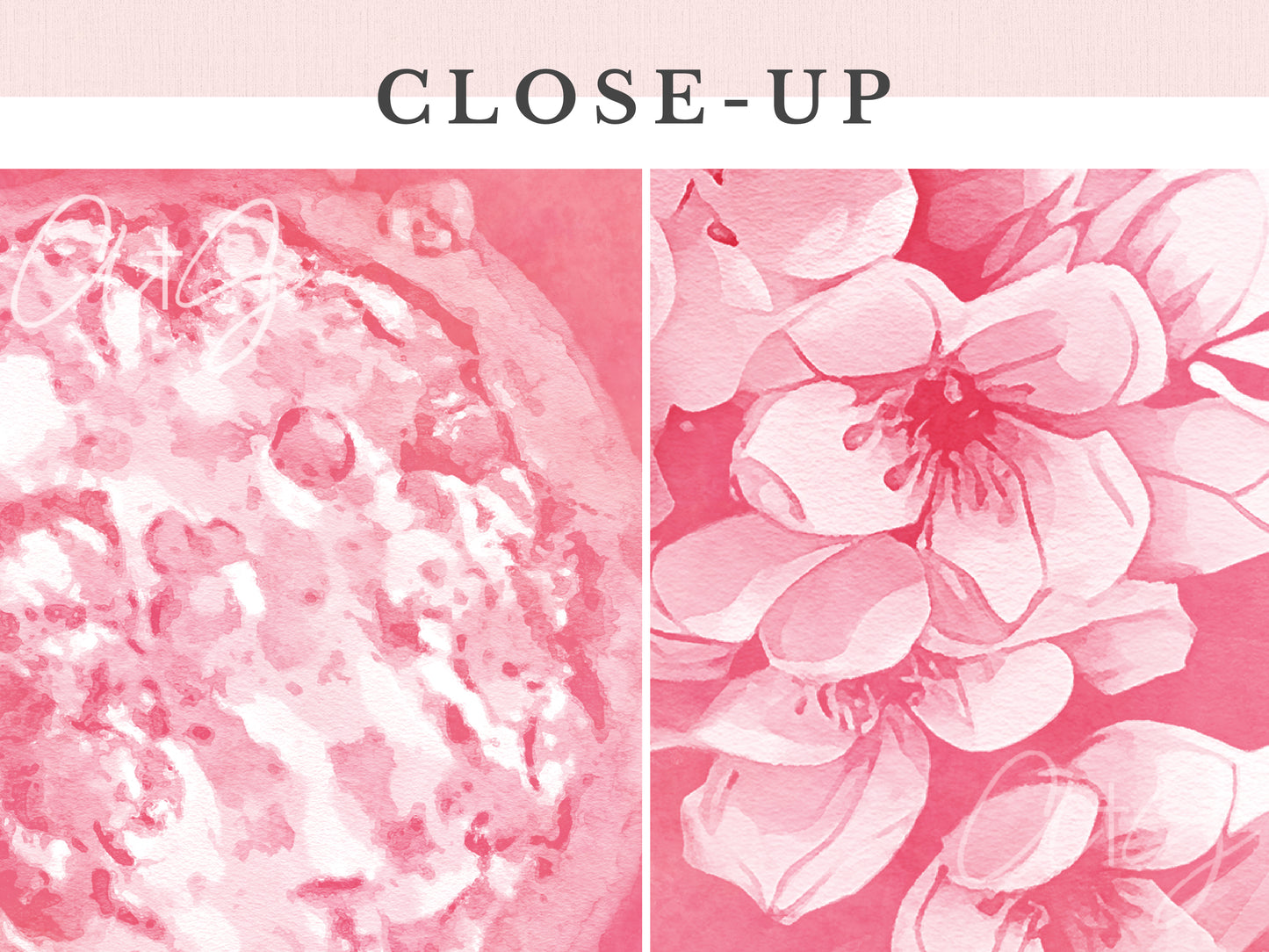 Personalized Blossom Heart embryo art close-up details of watercolor