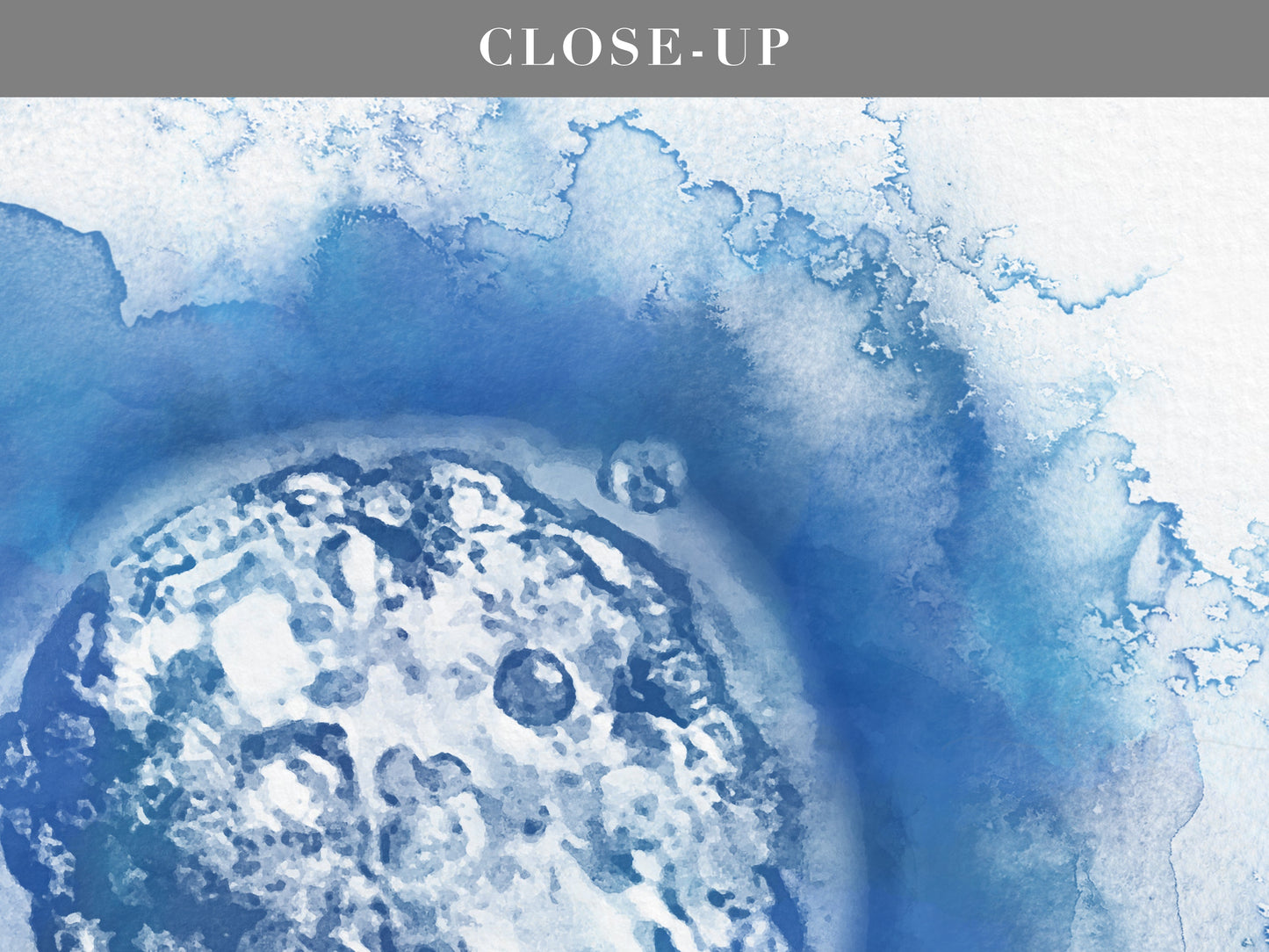 Hand-Painted Watercolor Twins IVF Embryo Art