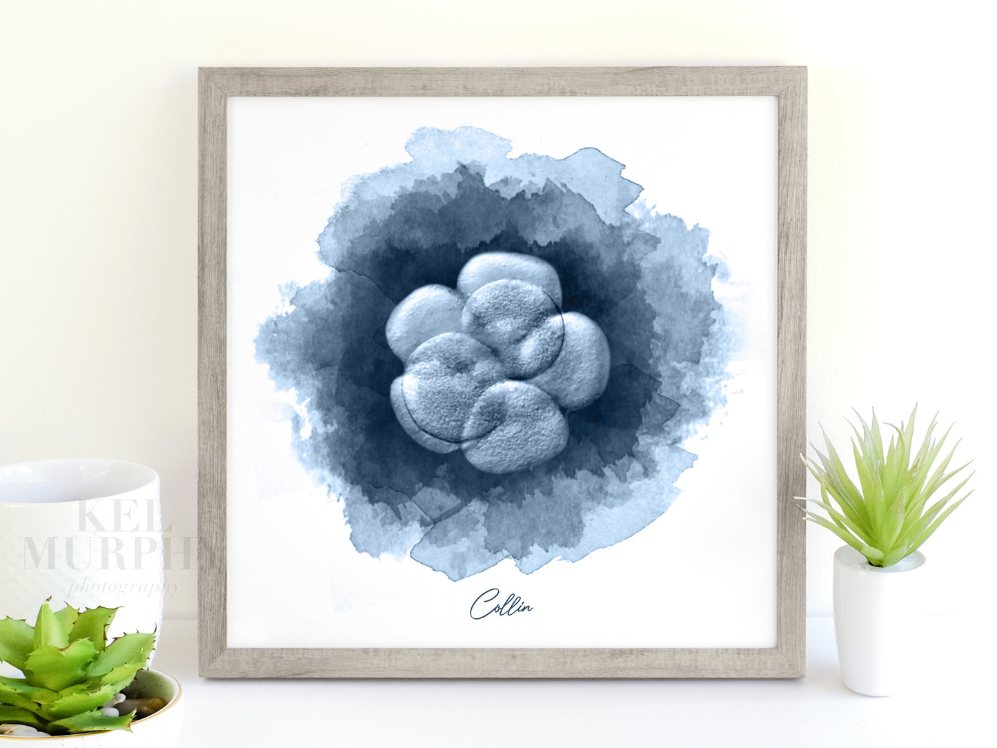 Custom embryo artwork with circle watercolor design