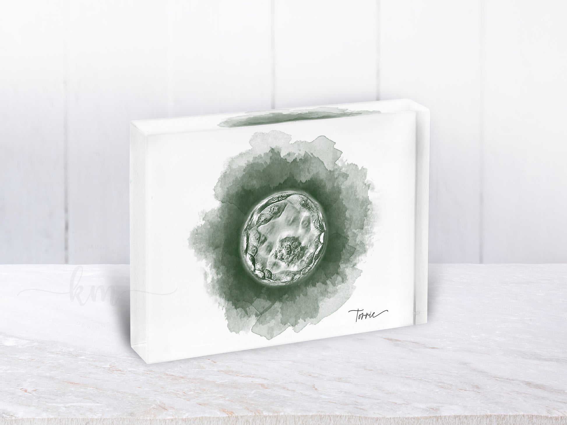 IVF embryo keepsake print for new moms or baby remembrance

