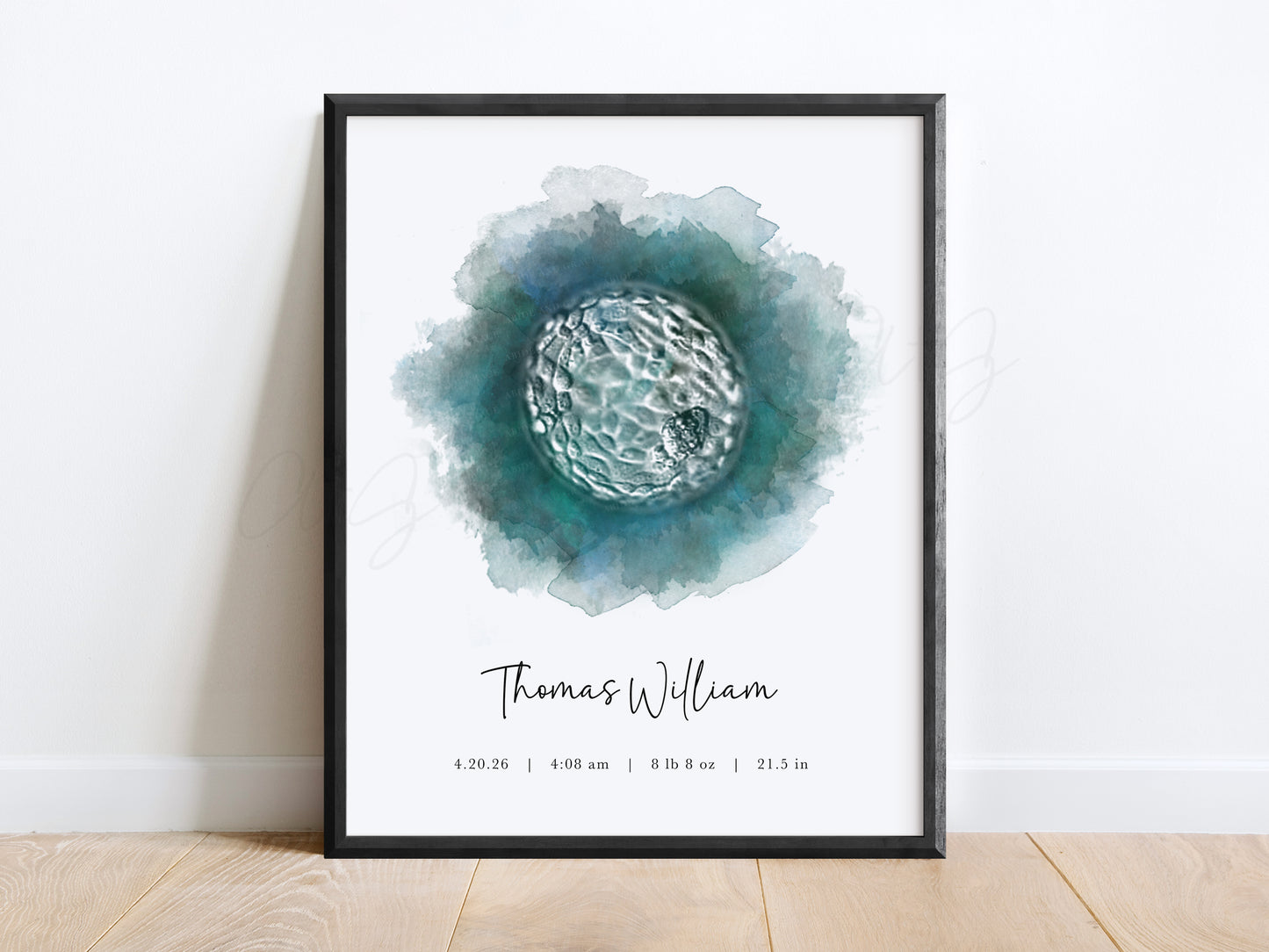 Circle Watercolor IVF Embryo Art
