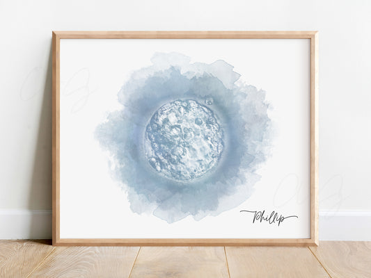 Circle Watercolor IVF Embryo Art