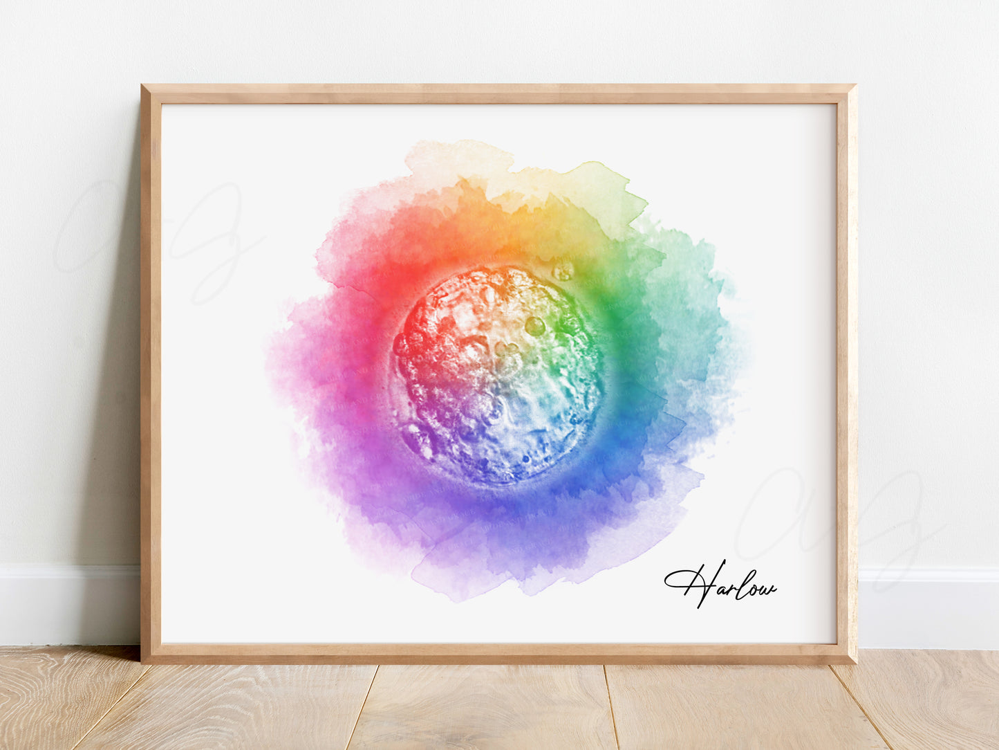 Circle Watercolor IVF Embryo Art