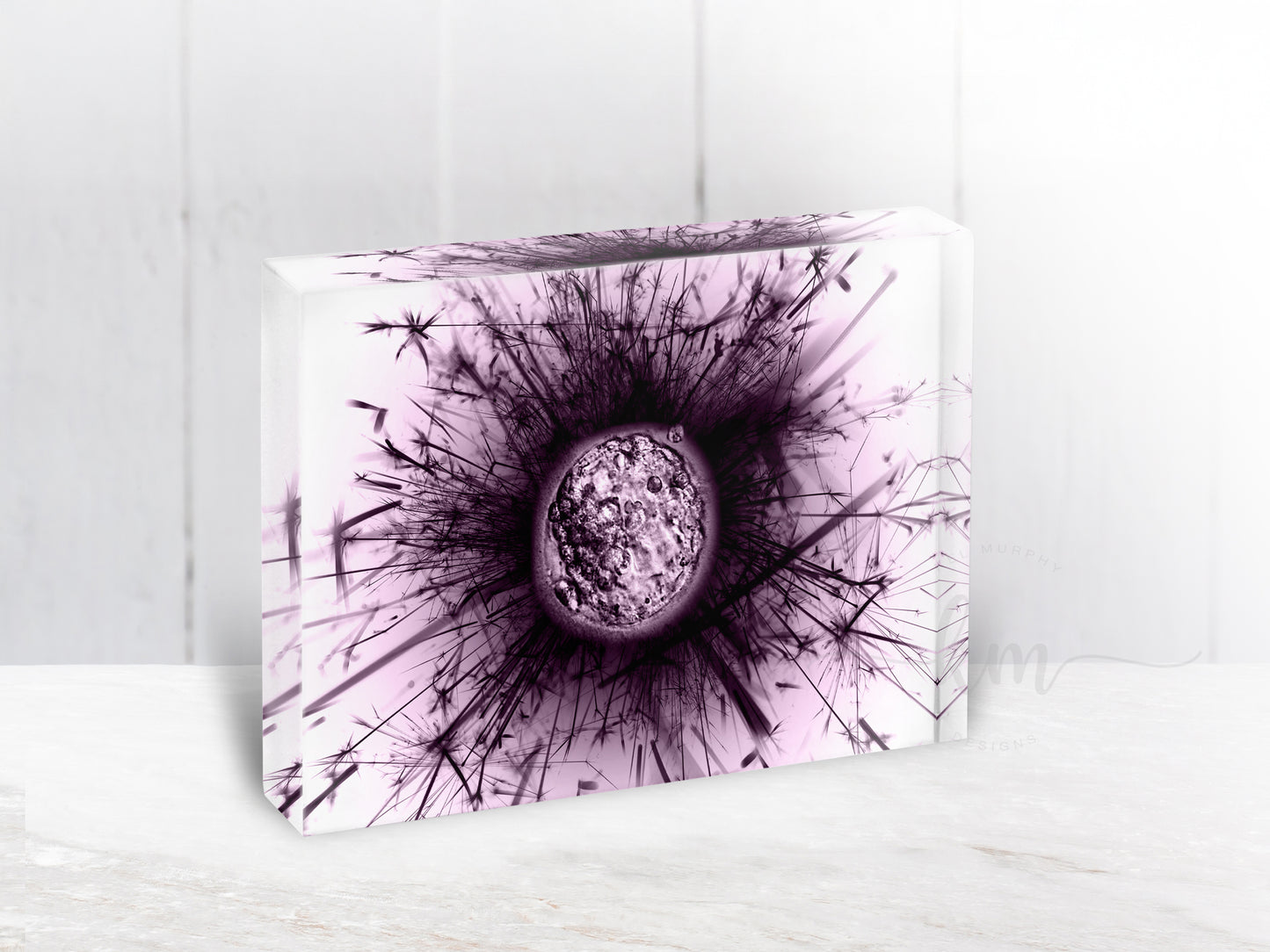 Dandelion IVF Embryo Art