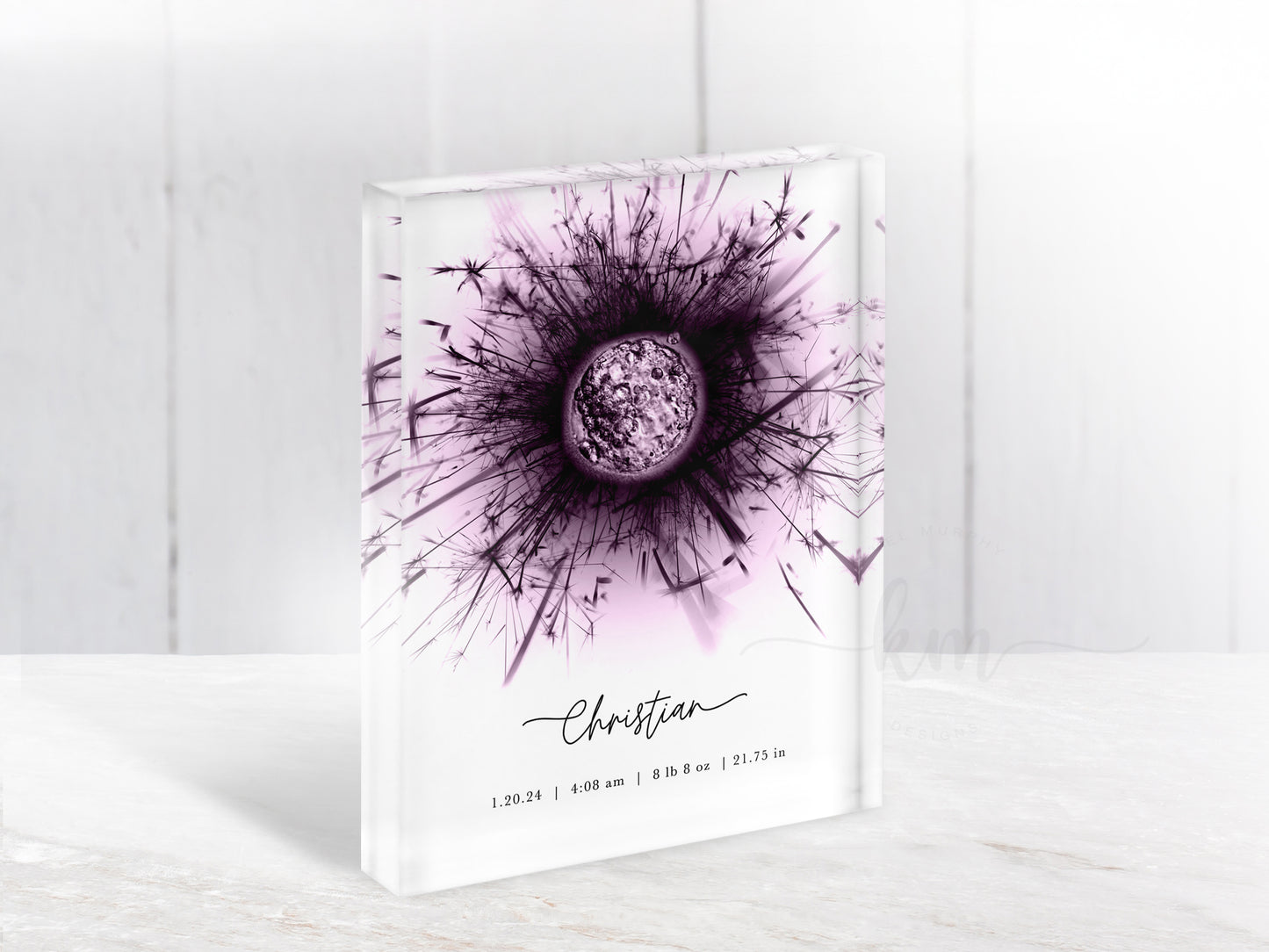 Dandelion IVF Embryo Art (Vertical)