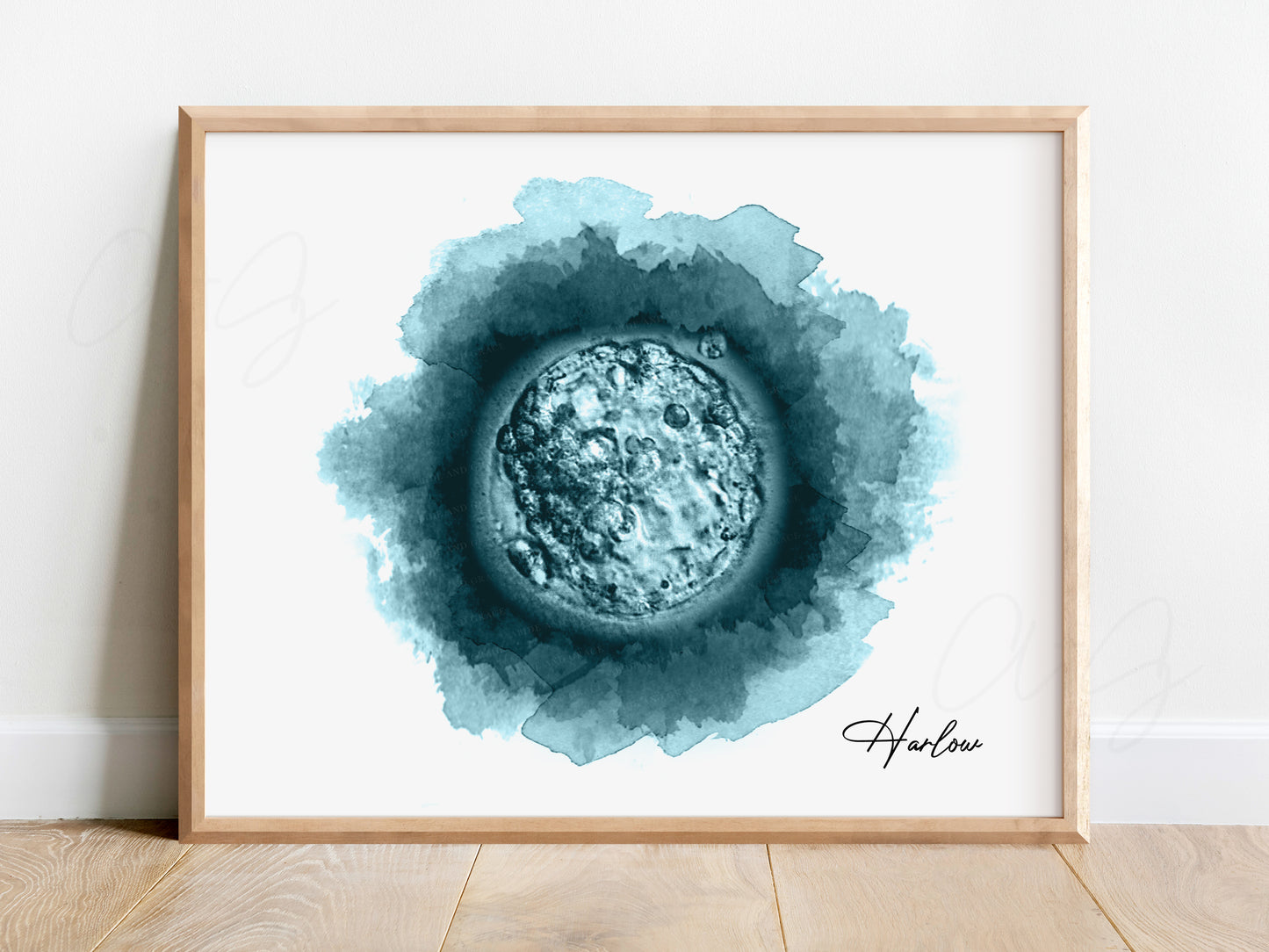Circle IVF Embryo Art