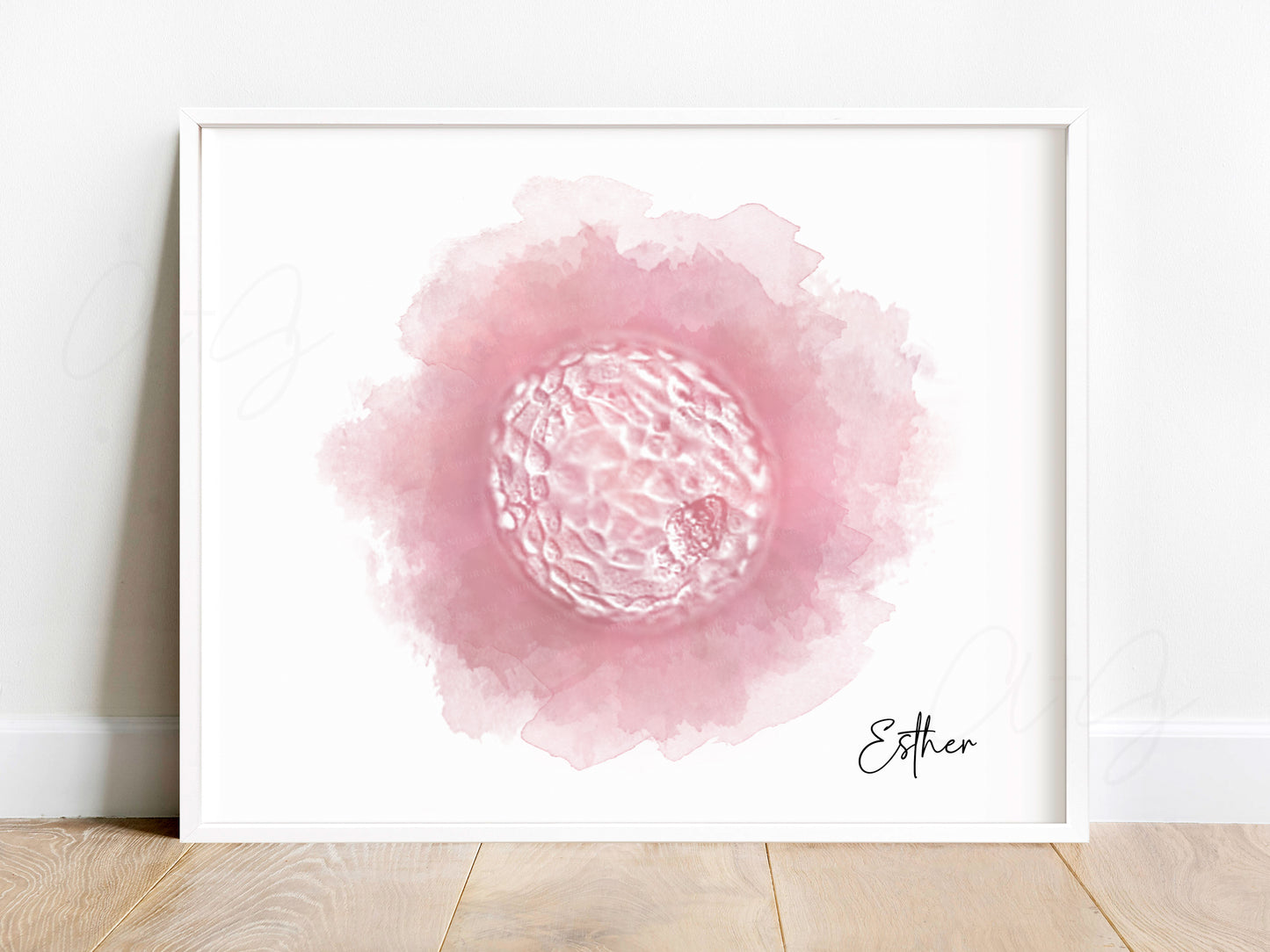 Circle Watercolor IVF Embryo Art